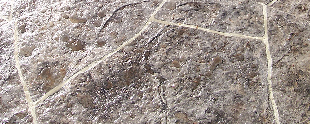 Close Up
